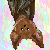 :iconopalbat: