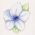 :iconopalescent-blossom: