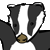 :iconopanocat5: