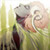 :iconopeca64: