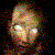 :iconopen-sore: