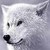 :iconoperation-ghostwolf:
