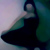 :iconophellianna: