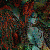 :iconophidianeyes: