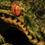:iconophiophagus: