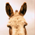 :iconopiel-photo: