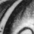 :iconopium-circles: