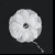 :iconopiumpoppies: