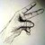 :iconopposablethumb: