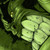 :iconops019: