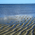 :iconopticalripple: