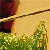 :iconopticalvalve: