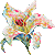 :iconoptima-cochi: