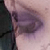 :iconoptimumamir: