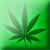 :iconOptimus-Prime-time: