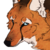 :iconopureskybree: