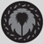 :iconoracle-of-the-closet: