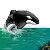 :iconoracle88: