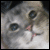 :iconorange--lightning: