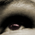 :iconorange-7:
