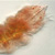 :iconorange-days: