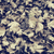 :iconorange-pixie: