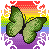 :iconorangeautumn: