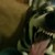 :iconorangedragonarts: