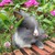 :iconorangekatze14: