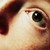 :iconorangeoverload: