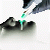 :iconorangesonappletrees: