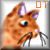 :iconorangetabby: