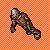 :iconorangezombie: