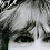 :iconorangutanmuffins: