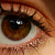 :iconoranshi: