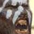 :iconorc-woman: