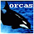 :iconorca-archive: