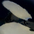 :iconorca19: