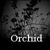 :iconOrchid-: