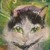 :iconorchidwhiskers: