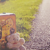 :iconordinarydream: