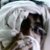 :iconordinarypoet:
