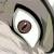 :iconorefidec: