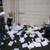 :iconorganized-chaos89: