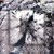 :iconorganizedn015e: