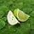 :iconoriental-lemongrass: