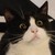 :iconorigalion: