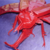 :iconorigami-artist-galen: