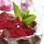 :iconorigami-love: