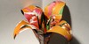 :iconorigami-lovers: